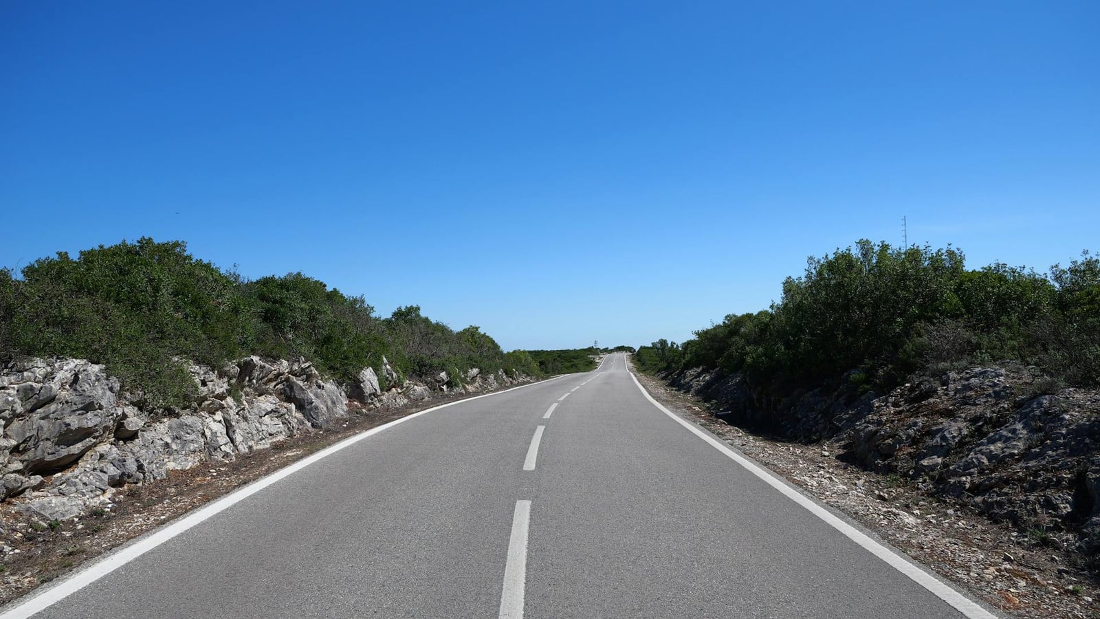 Empty asphalt road between rocks and shrubs